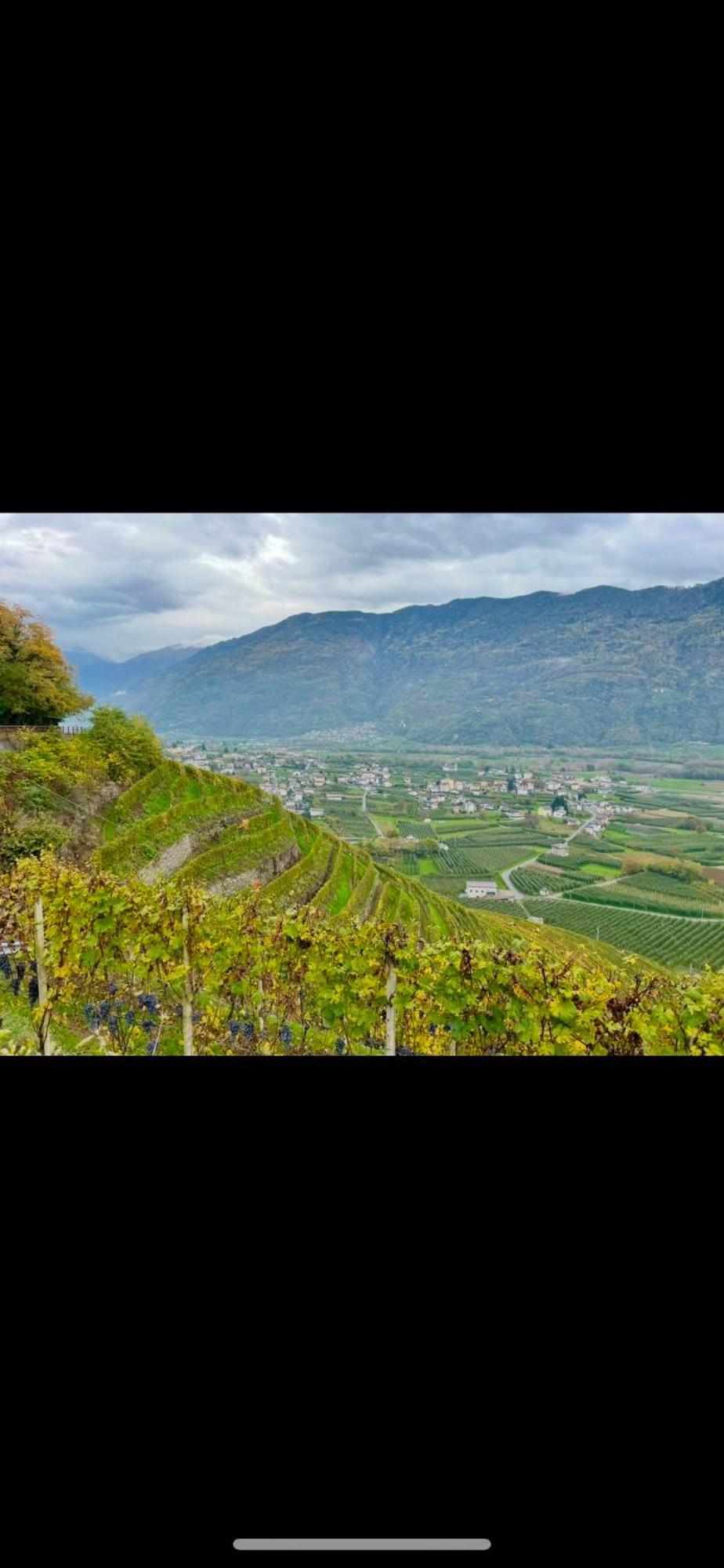 Villa di Tirano Ca Marasciol A 5 Minuti Dal Trenino Rosso Del Bernina Express酒店 外观 照片