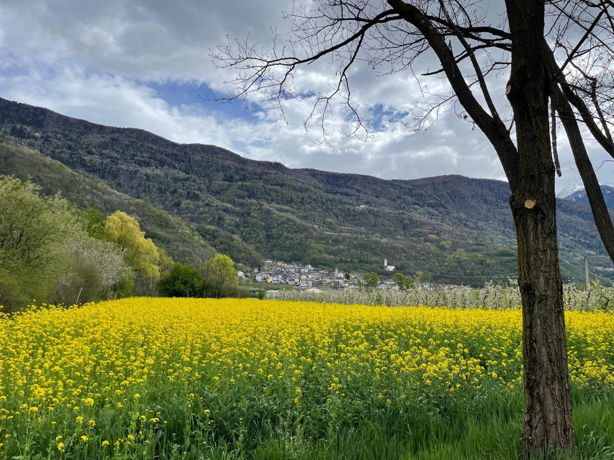 Villa di Tirano Ca Marasciol A 5 Minuti Dal Trenino Rosso Del Bernina Express酒店 外观 照片